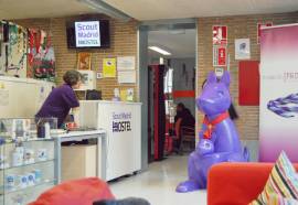 Scout Madrid Hostel