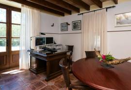 Short de Son Caulelles