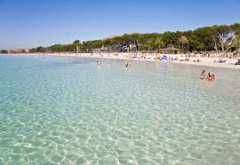 Apartamentos Solecito