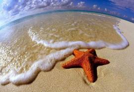 Globales Montemar Apartamentos