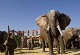 Holiday World Polynesia