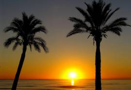 Hotel Marina D'Or Playa