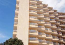 Pinero Bahia De Palma