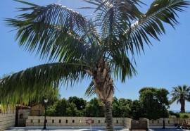 Hotel Rural Finca Salamanca