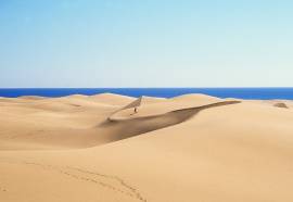 Vital Suites Residencia