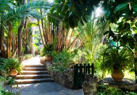 La Villarosa Terme (Porto D’Ischia)