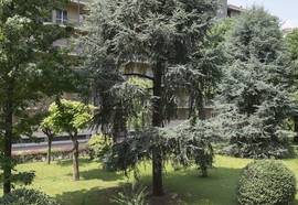 Cristallo Hotel