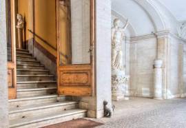 Trevi Rome Suite