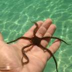 Туры в Италию из Еревана для 2 взрослых 2026 - Residence Il Mirto