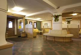 Apathotel Des Alpes