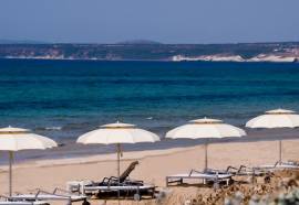 Is Arenas Resort