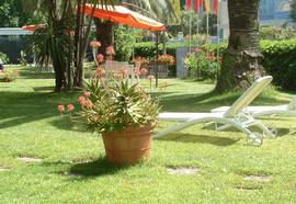 Marina Hotel