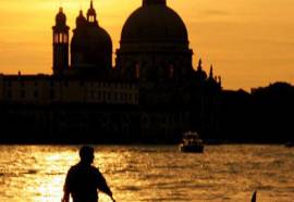 Ambassador & Tre Rose