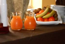 New Primula Hotel