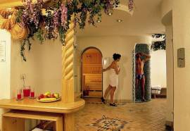 Alpi Hotel Campitello