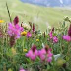 Туры в Италию для 2 взрослых от Paks 2025-2026 - Miravidi