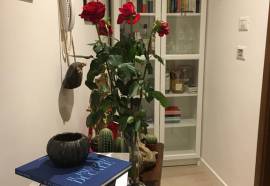 B&B Fortuny
