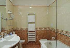 La Fenice Et Des Artistes