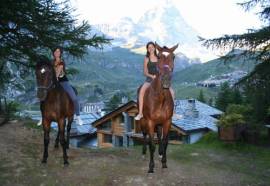 Saint Hubertus Resort