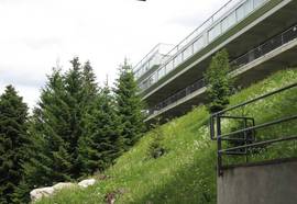 Albare Residence