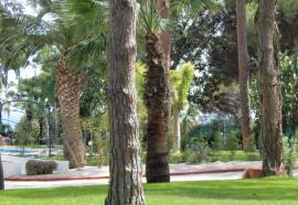 Abamar Hotel