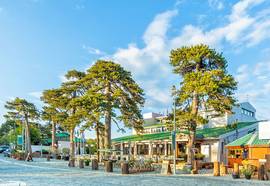 Troodos Hotel