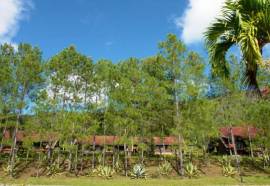 Villa Pinares de Mayari