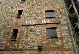 Naudi