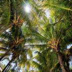 Туры на Маврикий для 2 взрослых на 15 дней от Travelata 2026 - Corail Bleu Private Pool & Garden Villas by LOV