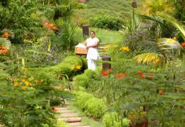 Lakaz Chamarel Exclusive Lodge