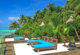 aaaVeee Nature's Paradise