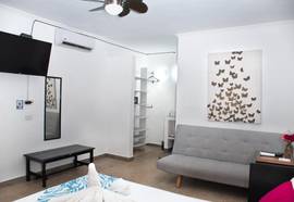 Hotel Maya Bric
