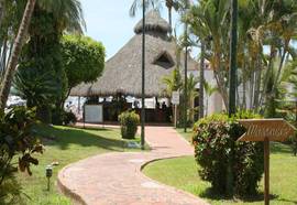 Flamingo Vallarta