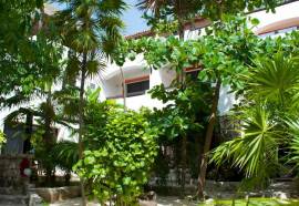 Pelicano Inn, Playa del Carmen