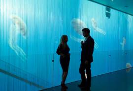 Hotel Alfa Amsterdam