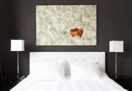 Residenz Stadslogement