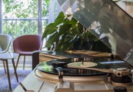 Hotel The Neighbour's Magnolia