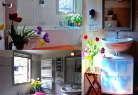 Phildutch Houseboat Amsterdam Bed and Breakfast 