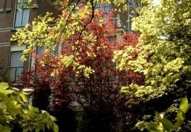 Borgmann Villa Hotel