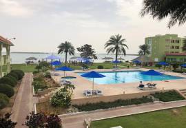 Flamingo Beach Resort