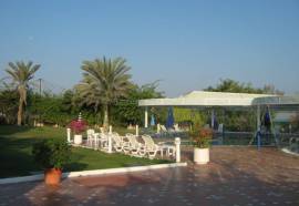 Al Qurum Resort