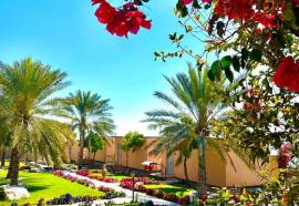 The View, Hail Al Shas /Al Hamra