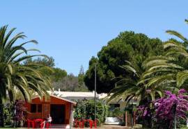 Quinta Da Balaia
