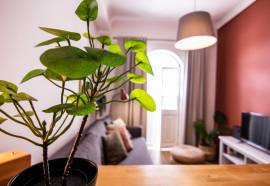 Faro Central - Holiday Apartments