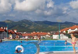 Кедровая роща