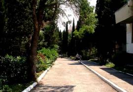 ЛЕС санаторно-курортный комплекс