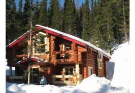 Лесная сказка