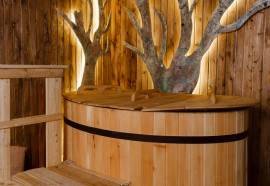 Репино Cronwell Park Hotel