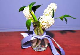 Академическая