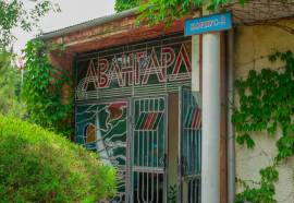 Пансионат Авангард, Николаевка